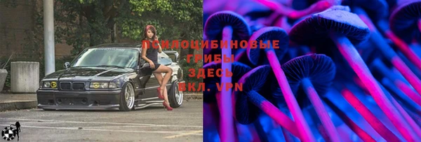каннабис Арсеньев