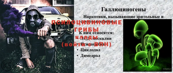 крисы Аркадак
