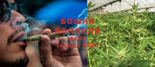 крисы Аркадак