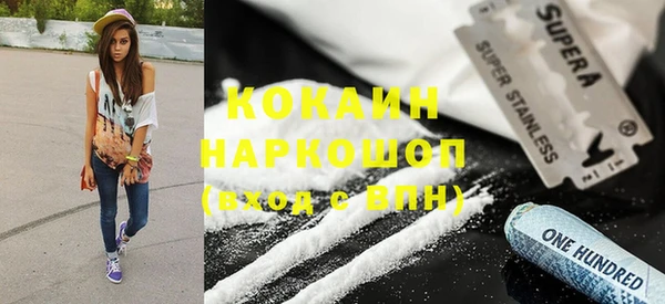 крисы Аркадак
