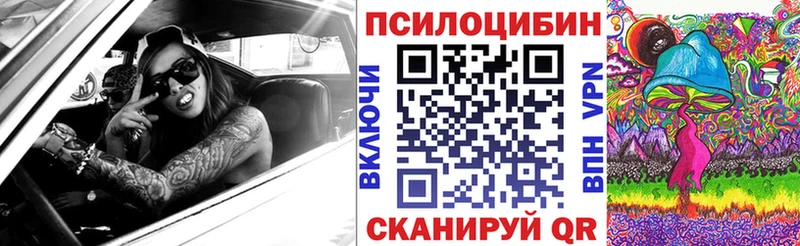Псилоцибиновые грибы GOLDEN TEACHER  цены   Грязовец 
